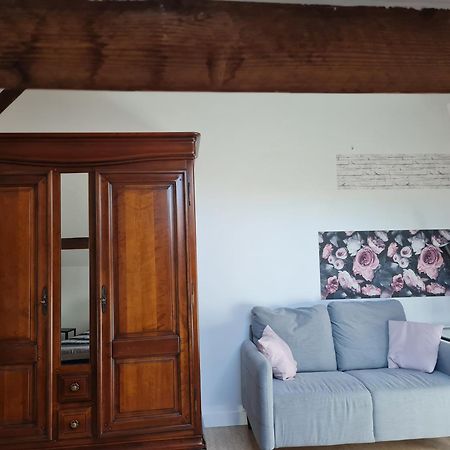 Espace Beleverte Bussiere 1 Tamaris Appartement Meuble De 2 Chambres Oullins Εξωτερικό φωτογραφία