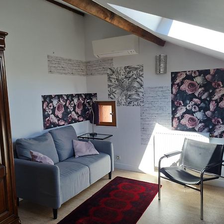 Espace Beleverte Bussiere 1 Tamaris Appartement Meuble De 2 Chambres Oullins Εξωτερικό φωτογραφία